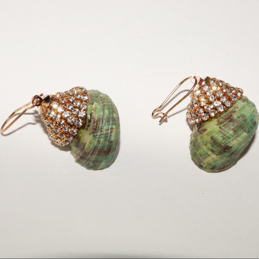 “Glam Shell” Fashion Earrings